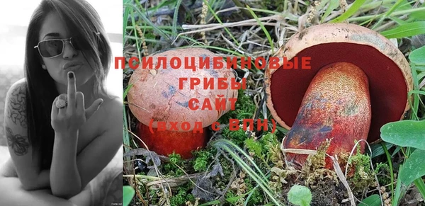 MDMA Алексеевка